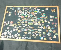 Pin Sammlung, 150+ Stück, verschiedene Motive