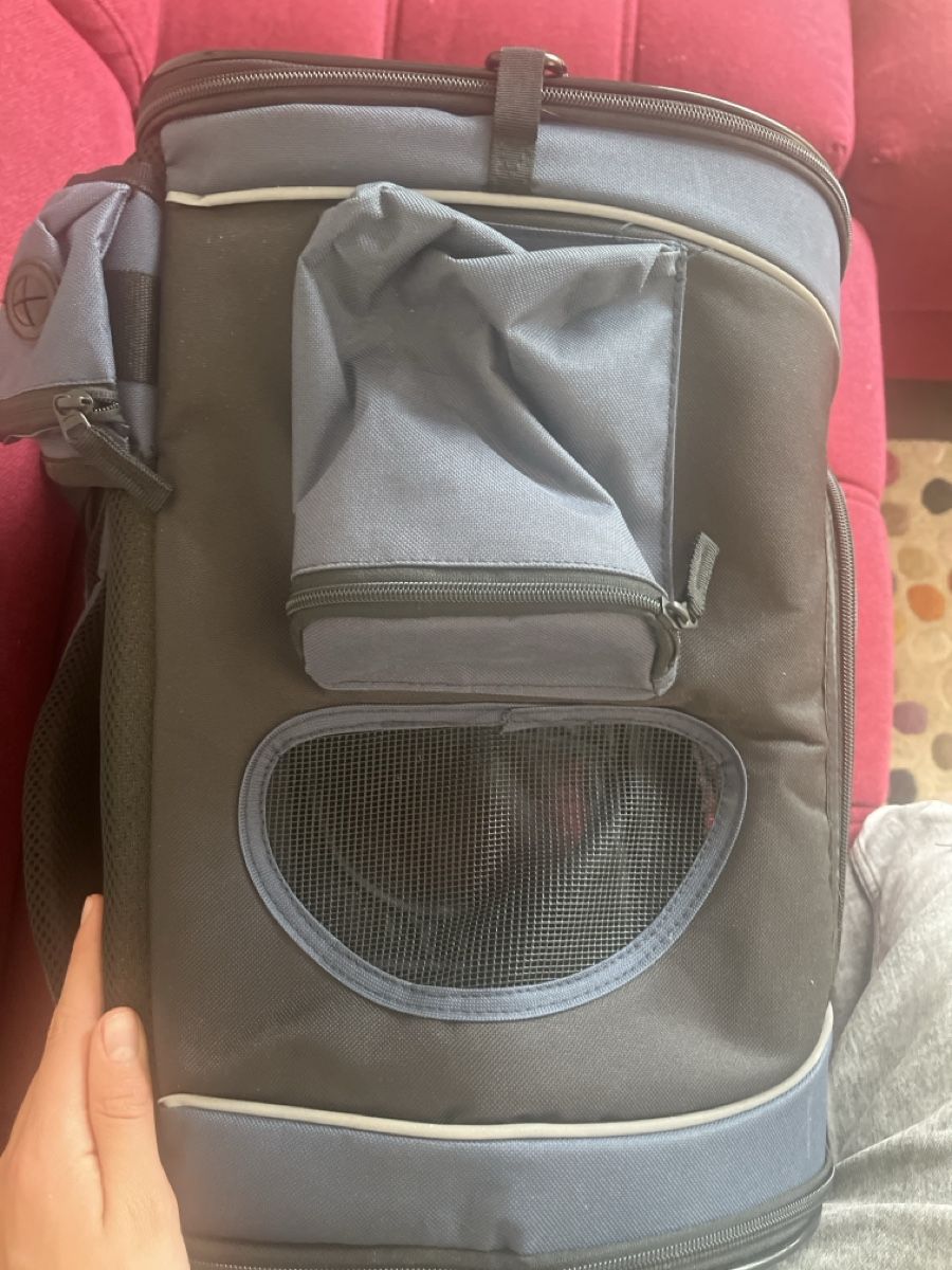Zaini: deek outdoor Hunderucksack – Nuovo (secondo la descrizione) da Lenzburg venduto da Raitschy 3
