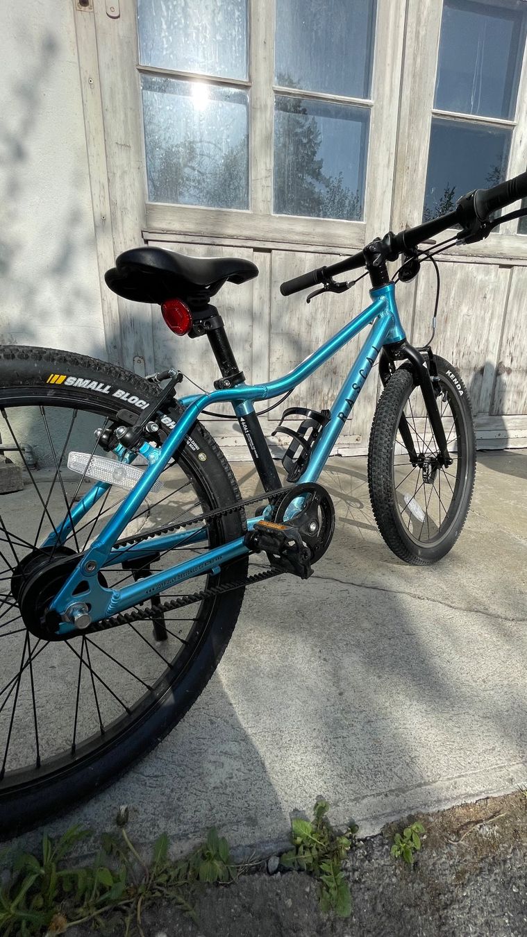 Velos: Rascal Bikes 20" "in TOP Zustand!!!" – Gebraucht aus Thun von tropponuovo