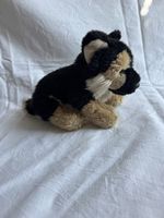 Plüsch Hund 
