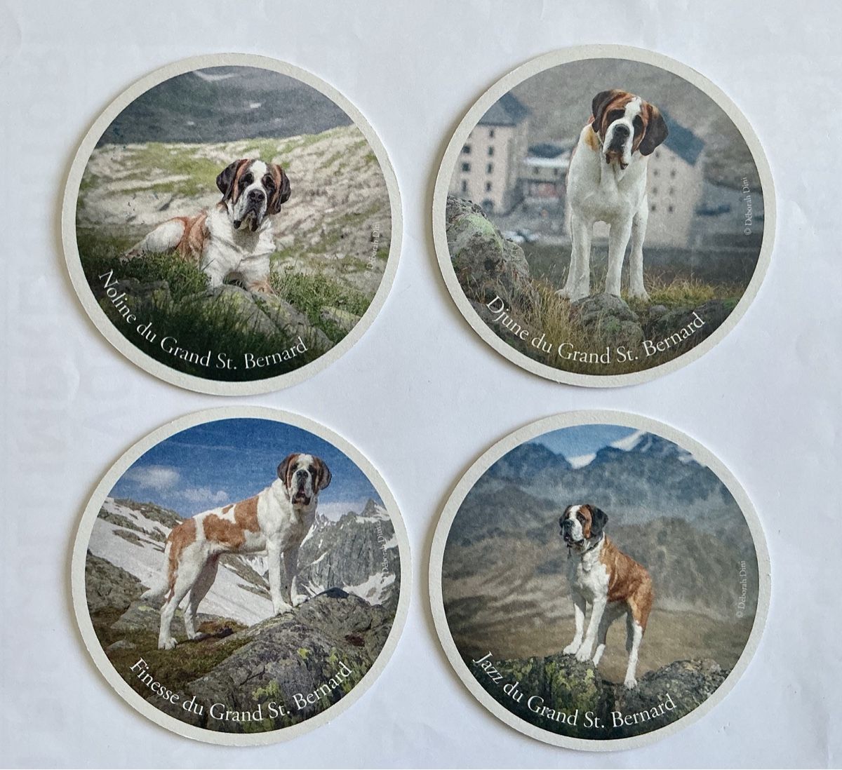 Sottobicchieri: Bierdeckeln Gand St. Bernard Hunden  – Nuovo (secondo la descrizione) da Arcegno venduto da Denni