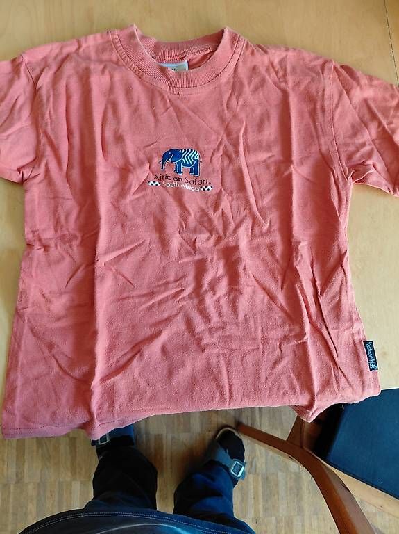 Camicette, T-shirt & Top: T Shirt gr. 128 – Usato da Ostermundigen venduto da deb1deb1