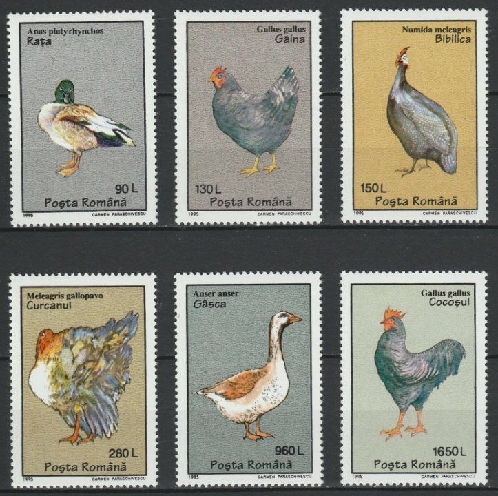 Tutti i francobolli: Rumänien 1995 Geflügel postfrisch – Nuovo (secondo la descrizione) da Lausanne venduto da dsi_7l2q