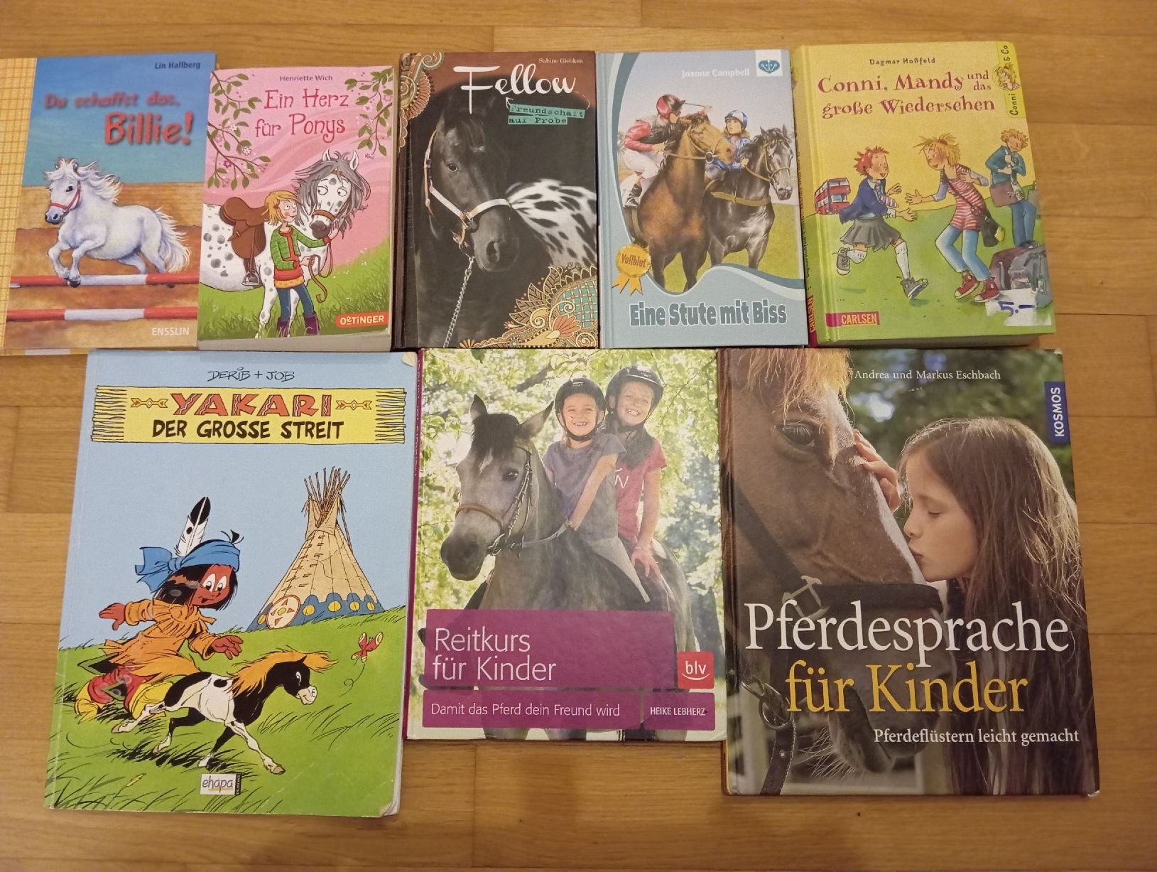 Libri: 8 Pferdebücher für Kinder – Usato da Montlingen venduto da Beanz