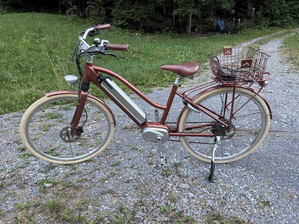 Velos: E-velo mit bafang motor – Defekt aus Schwändi GL von Naldoven