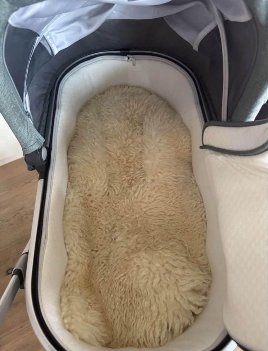 UPPAbaby Poussette: Kinderwagen UPPAbaby Vista V2 – D'occasion à Münchwilen TG par Larry86 6
