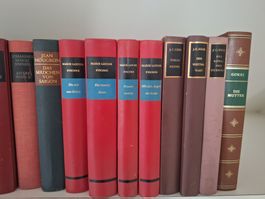 Konvolut Romane Simmel Fischer Heer Gorki gebraucht