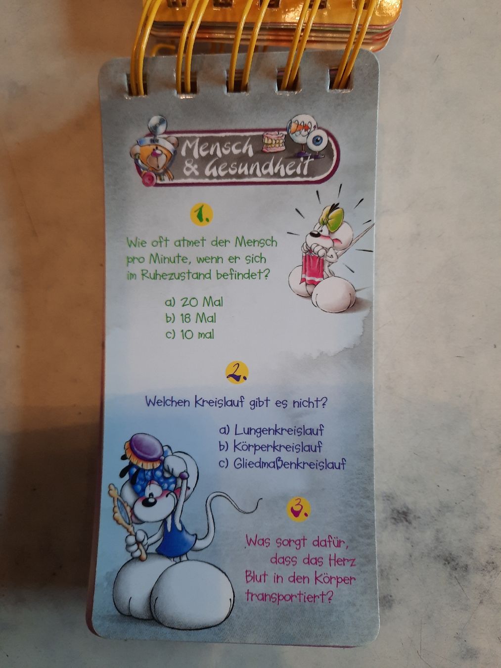 Spiele: Diddl Diddlinas Rätsel - Rate - Quiz – Gebraucht aus Nottwil von mar_jqm7 6