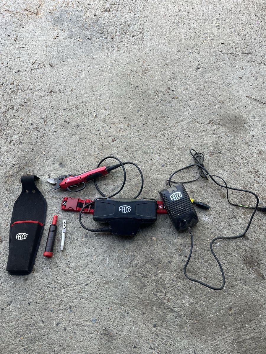 Felco Tutti gli attrezzi: Garten Accubaumschere Felco 810 – Usato da Oetwil am See venduto da Batschel