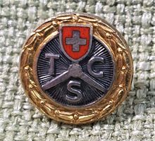 N807 - Pin TCS - Touring Club Schweiz 925 Silber & vergoldet