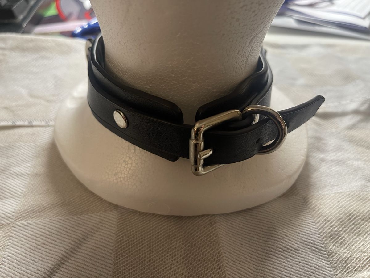 Killstar Ketten: Killstar Choker – Gebraucht aus Zürich von ale_kv9g 1