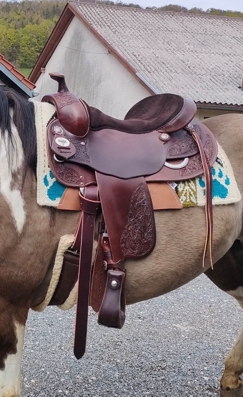 Selle & Accessori: Selle Diamond C – Usato da Alle venduto da oce_vjn7 2