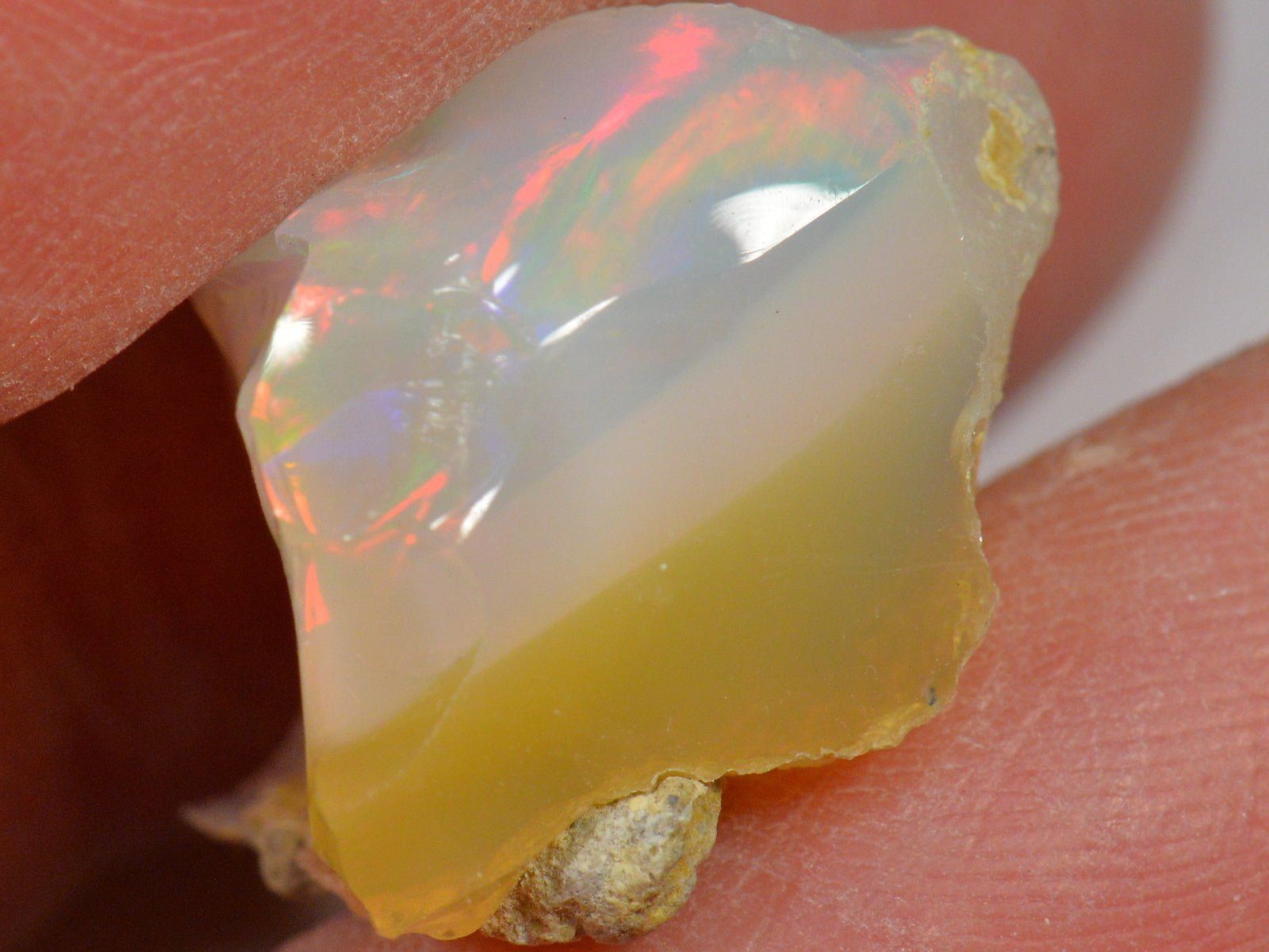 Pietre preziose: 17 Karat - Roher Äthiopischer Welo Opal – Nuovo (secondo la descrizione) da Rüti ZH venduto da DeinOpal 2
