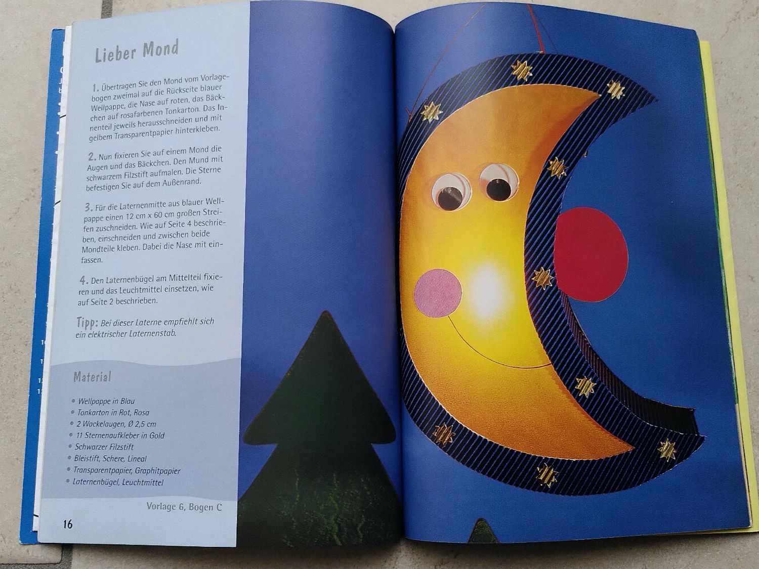 Libri: LATERNEN FÜR KINDER – Usato da Brugg AG venduto da olamim 2