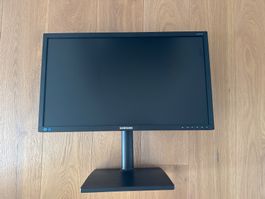 Samsung SyncMaster S24E450 24 Zoll Bildschirm - Top Zustand