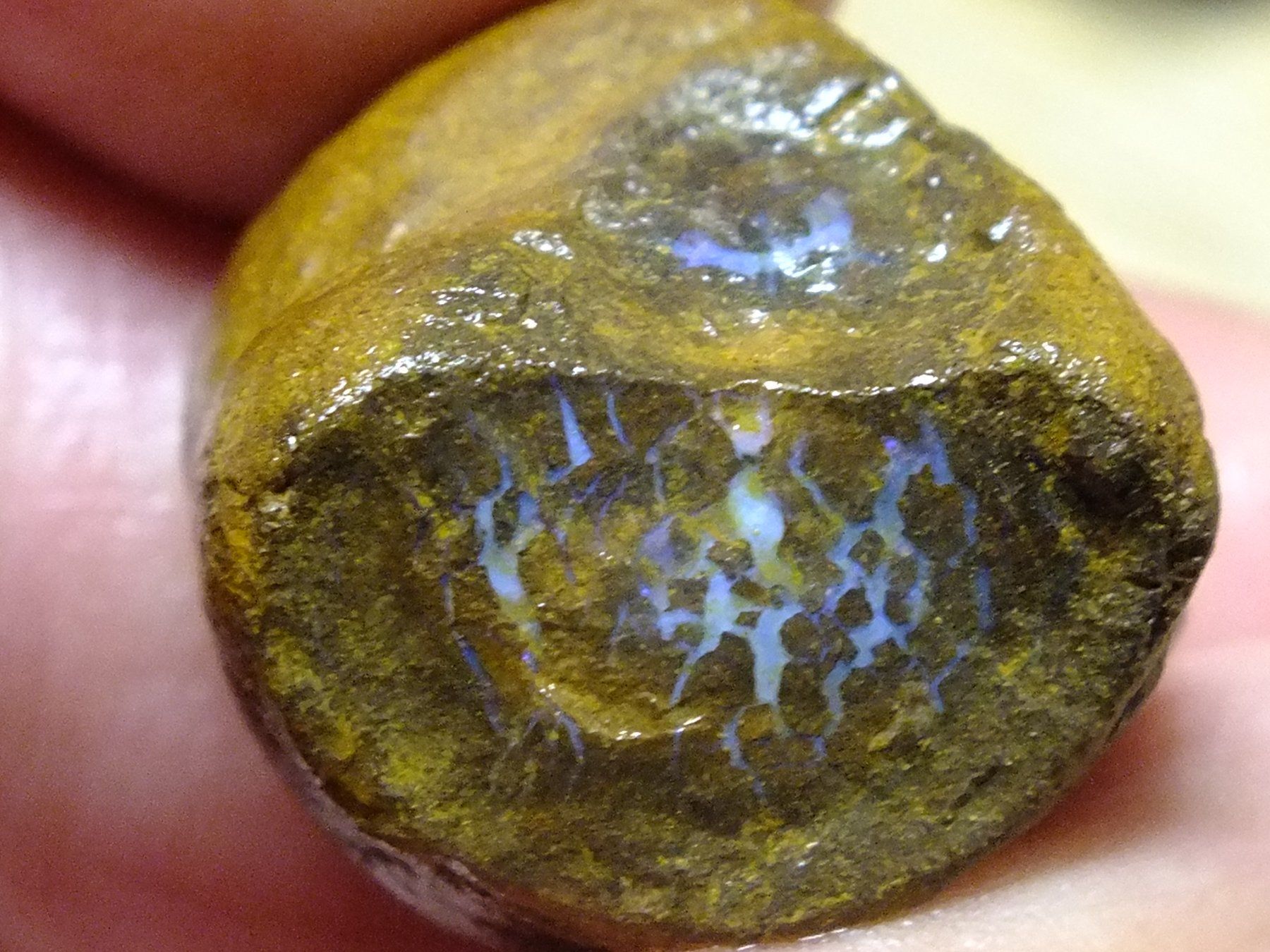 Pietre preziose: BOULDER ROH OPAL 38.76 Kt Gebot 1.- – Nuovo e nell'imballaggio originale da Chêne - bougeries venduto da swissrockshop 2