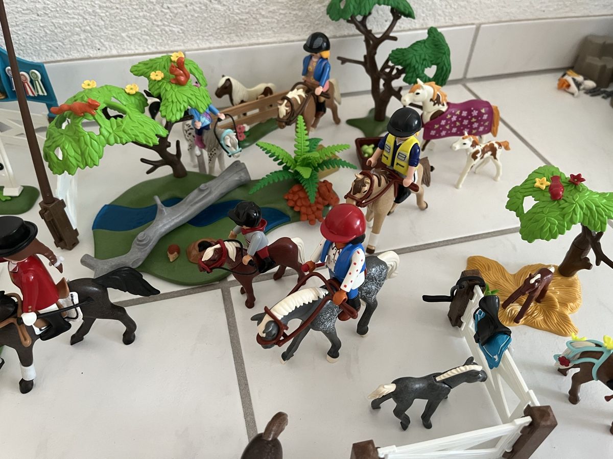 Playmobil Giocattoli: Grosses Playmobil Pferdegestüt – Usato da Uetikon am See venduto da Winnieclaudia 5