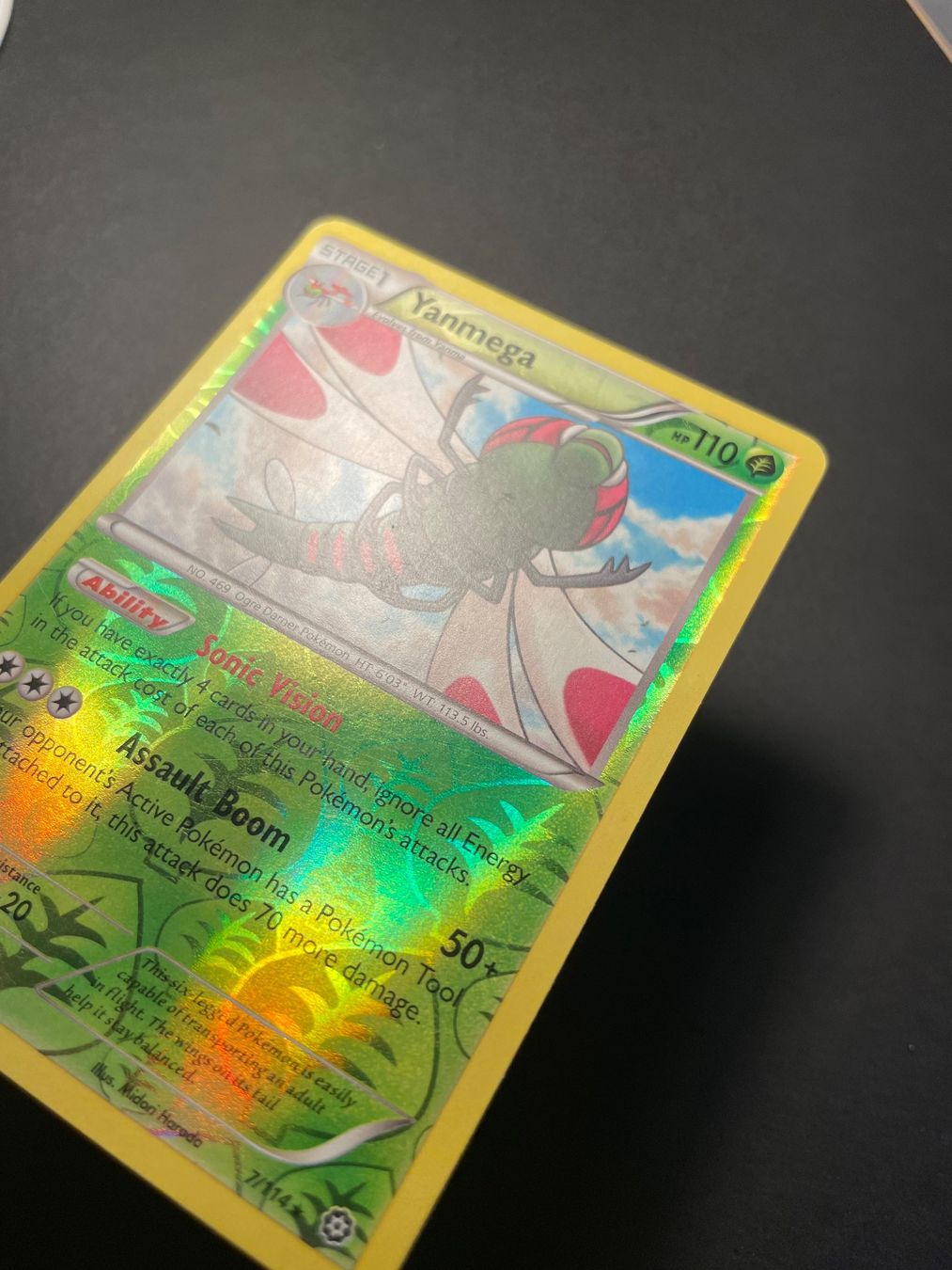 Pokémon Sammelbilder & Trading cards: Yanmega Steam Siege 7/114 Reverse Holo – Gebraucht aus Zürich von pokemon_cards 1
