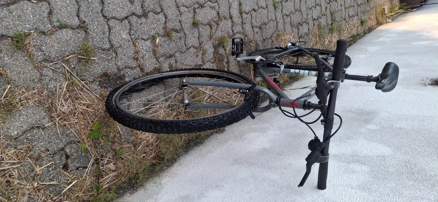 Velos: Kult Mtb Specialized Rock Hopper – Defekt aus Kyburg von JBMNT2020 3