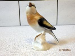 Porzellan, Stiglitz, Finkenart, Thüringen, GDR, 12cm hoch