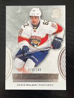 NHL Denis Malgin ZSC Lions Rookie RC Florida Panthers #/249