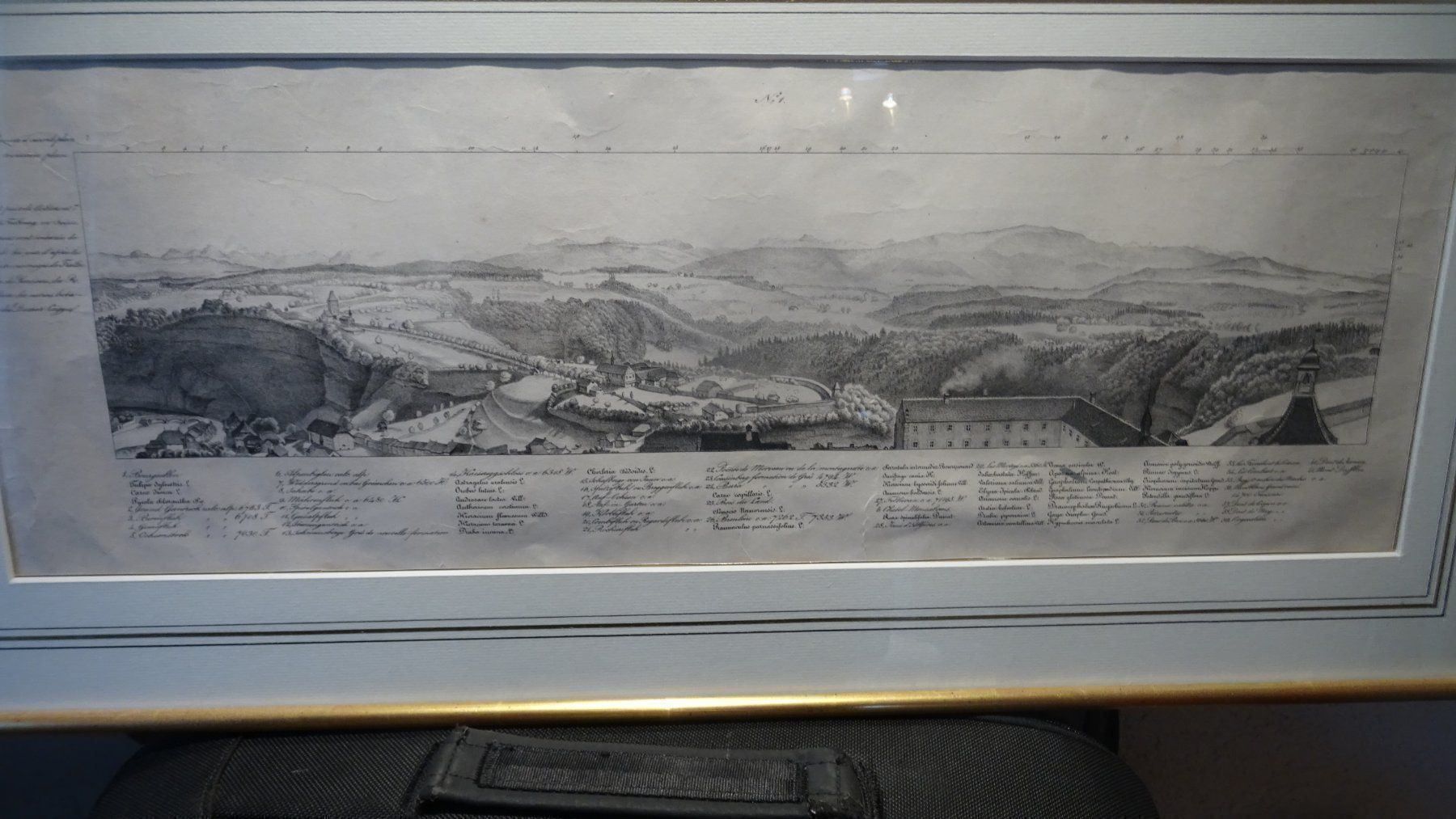 Incisioni: STAHLSTICH MIT PASSEPARTOUT Nr. 1, 36x76 – Usato da Eschenbach SG venduto da eDaisy 1