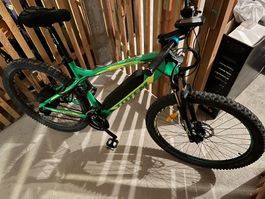 E-Bike Totem 29 Zoll – 2 Akkus – Neuer Antrieb – Fahrbereit