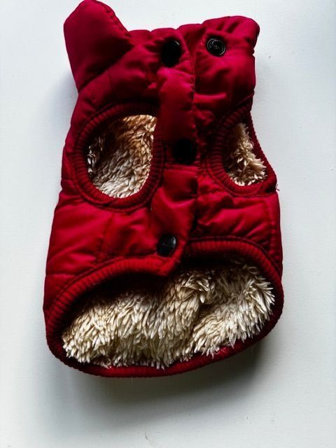 Abbigliamento: Hund Wintermantel XS – Nuovo e nell'imballaggio originale da Matt venduto da Westigruppe 1