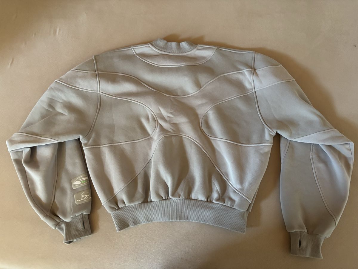 Maglioni & Felpe: Passtell Sweatshirt grey size m – Nuovo (secondo la descrizione) da Zürich venduto da rad_scf2 1