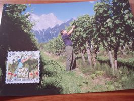 Liechtenstein 2003, Jahresserie Maximumkarten, 28 Belege