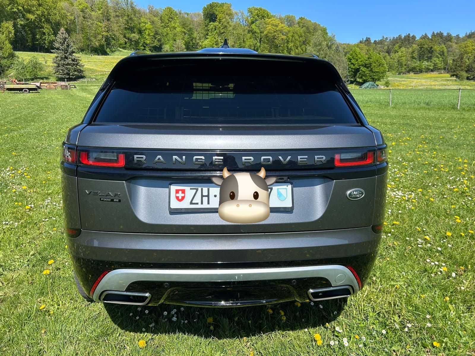 Land Rover Automobili: Range Rover Velar P300 SE – Usato da Effretikon venduto da Ro_man 3