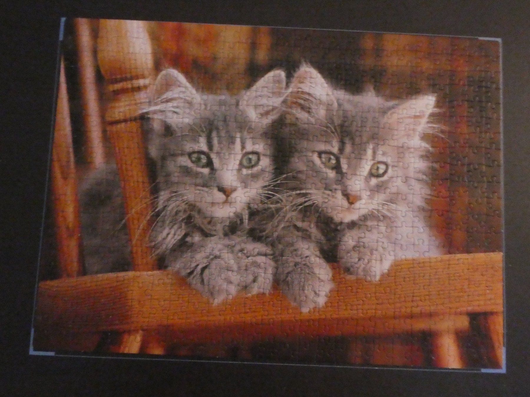 Clementoni Puzzle: Kittens Clementoni-Puzzle 500 Teile – Nuovo (secondo la descrizione) da Steinhausen venduto da Aktion 1