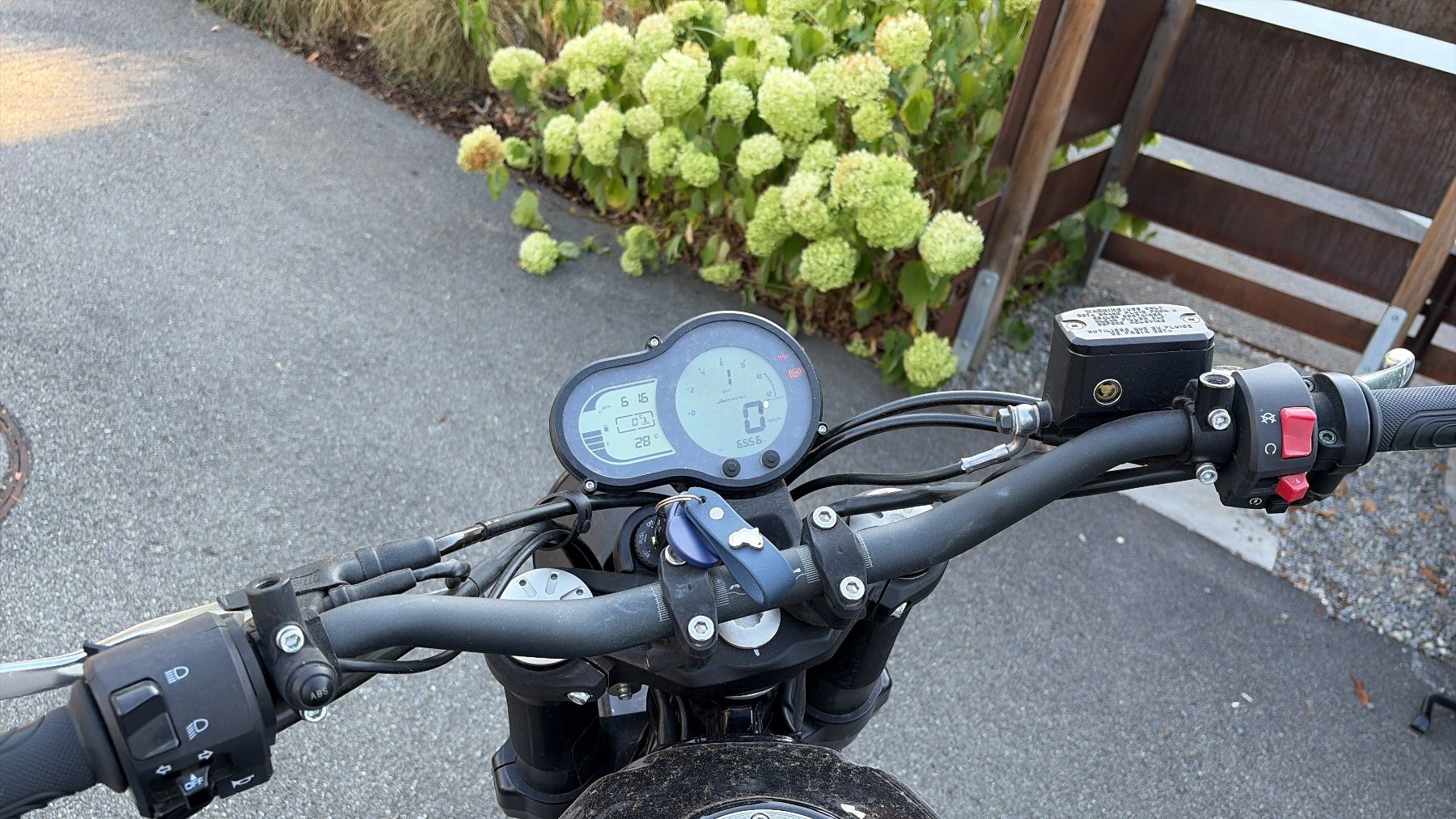 Benelli Route: Benelli Leoncino 500 - 35kW – D'occasion à Herisau par maverick722 3