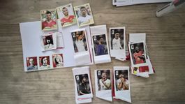 FIFA WM Russland 2018 Stickers und Coca cola stickers 2026