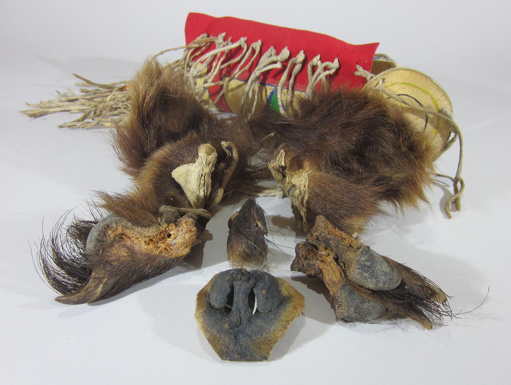 Statuette: Blackfeet Indianer Bär-Medizin – Usato da Bäretswil venduto da robsonantik 3