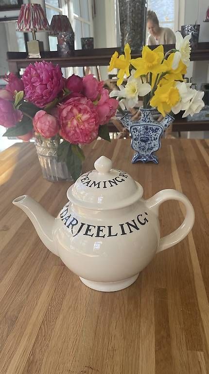 Teiere: Emma Bridgewater teapot théière  – Usato da Troinex venduto da nadinebmichaelson