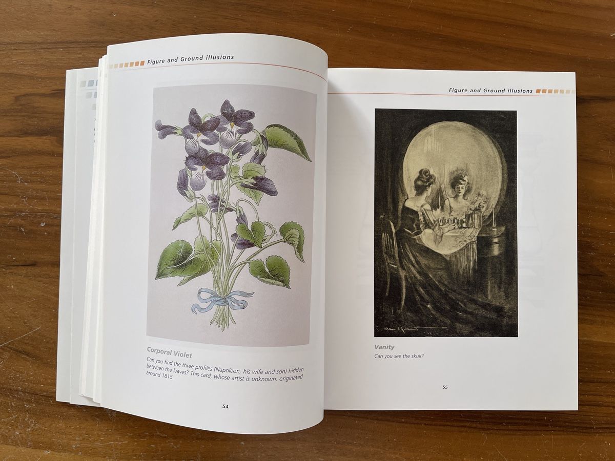Libri: Incredible Visual Illusions, Al Seckel, Top Zustand! – Usato da Bad Zurzach venduto da Cookie_0619 4