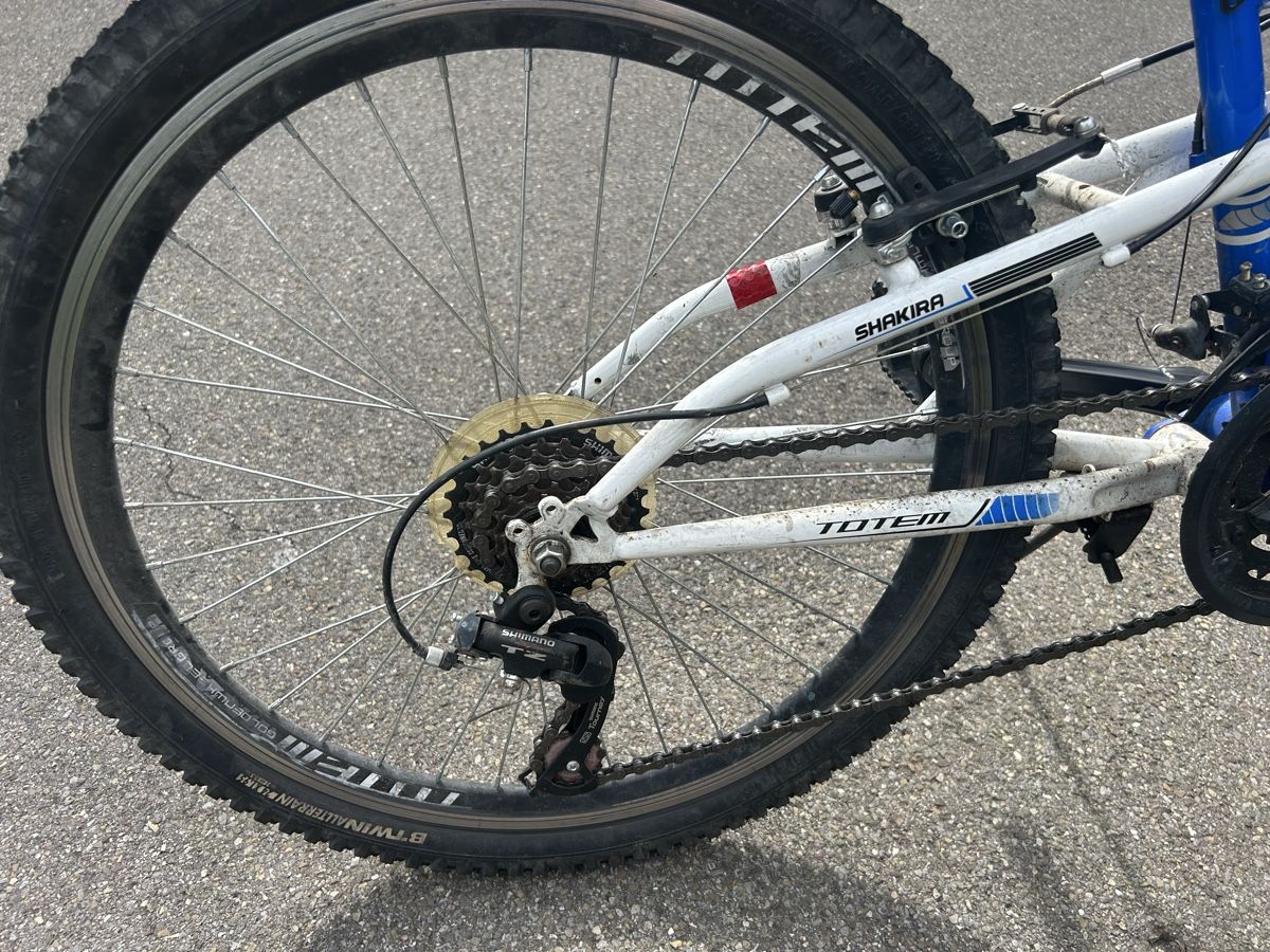 Totem Biciclette: Fahrrad 24 Zoll – Usato da Hagendorn venduto da diz_p6dg 3