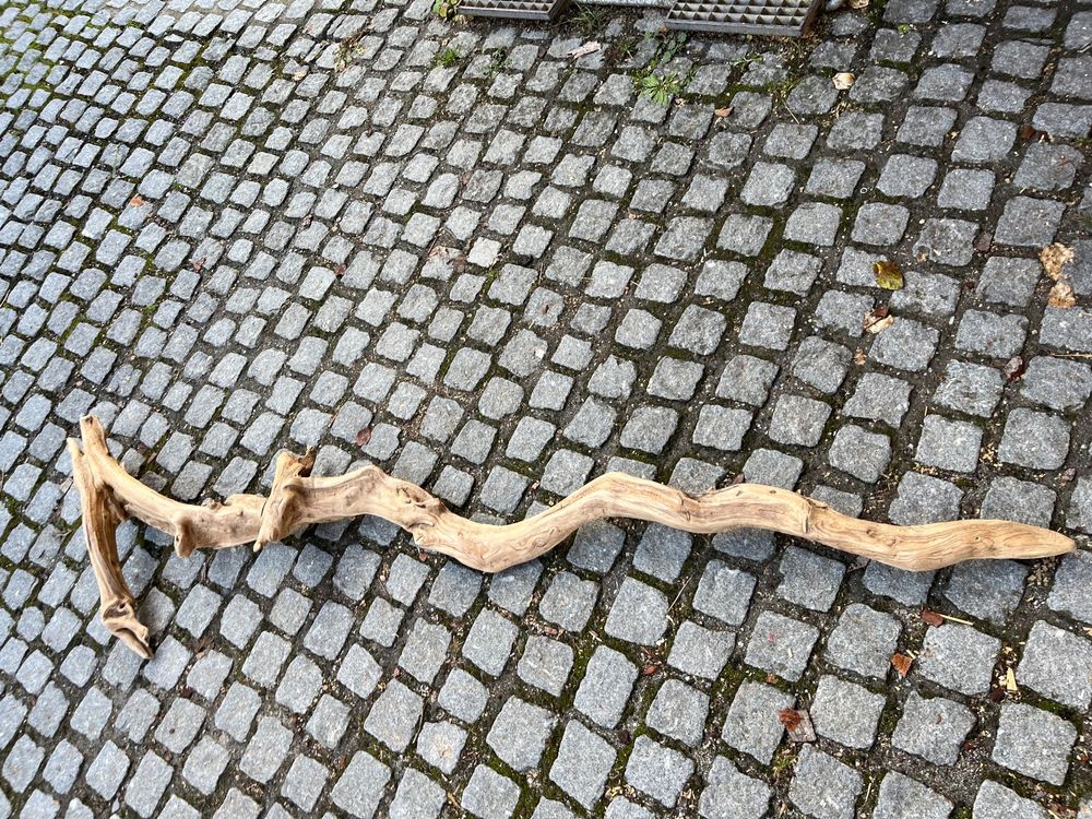 Schwemmholz Deko Ast Kaufen auf Ricardo