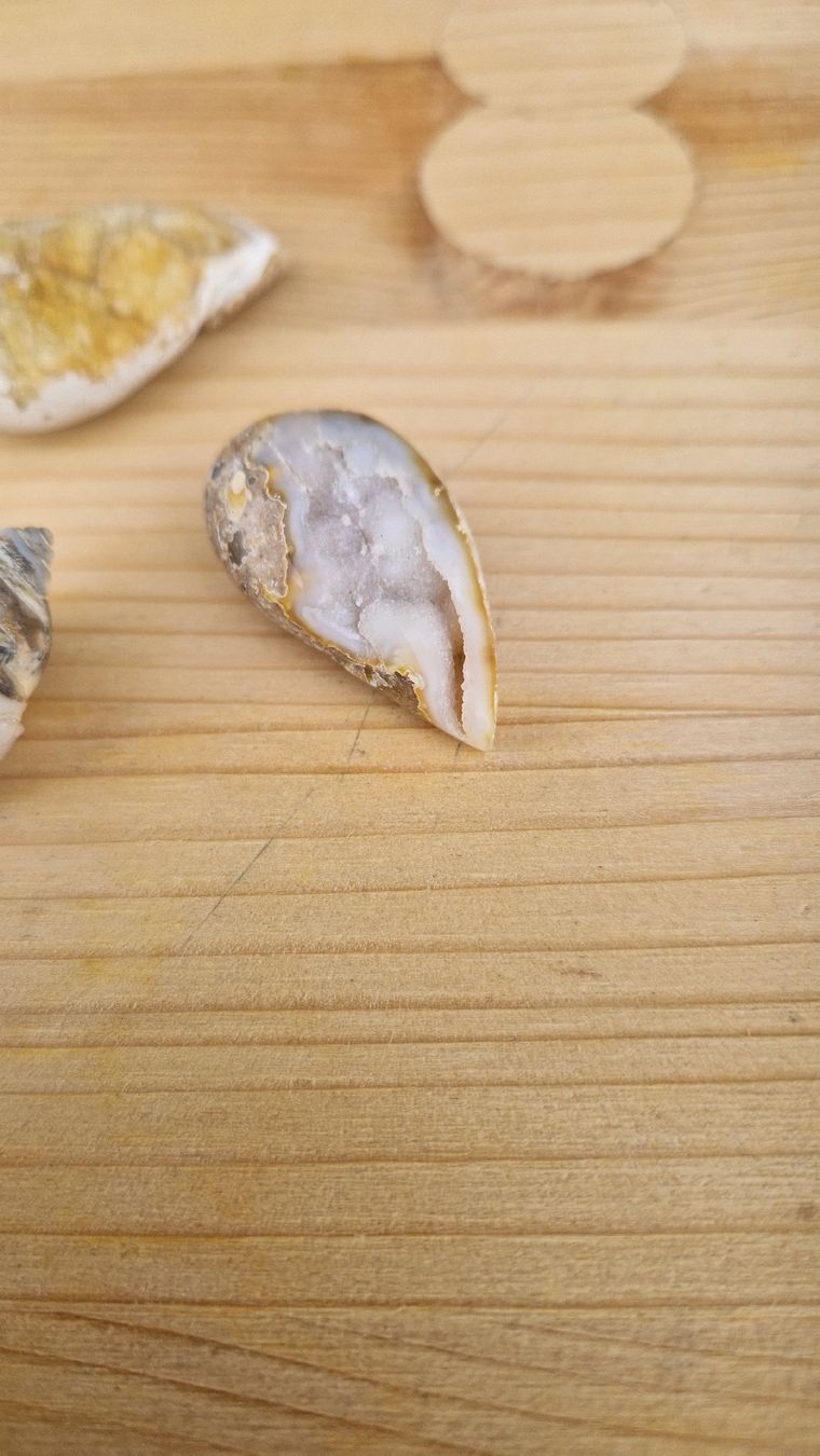 Fossili: Fossile Quarz Schnecke – Usato da Niederhasli venduto da rehauge01 1