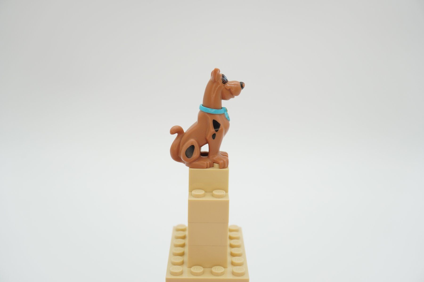 Lego Giocattoli: Lego Great Dane Scooby-Doo - 20690pb01c01 – Usato da Zürich venduto da PWGrZ 1