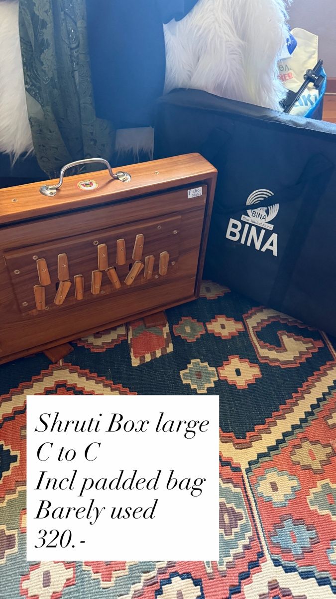 Strumenti musicali: Shruti Box Bina aus Indien – Nuovo (secondo la descrizione) da Hochdorf venduto da jayayoga