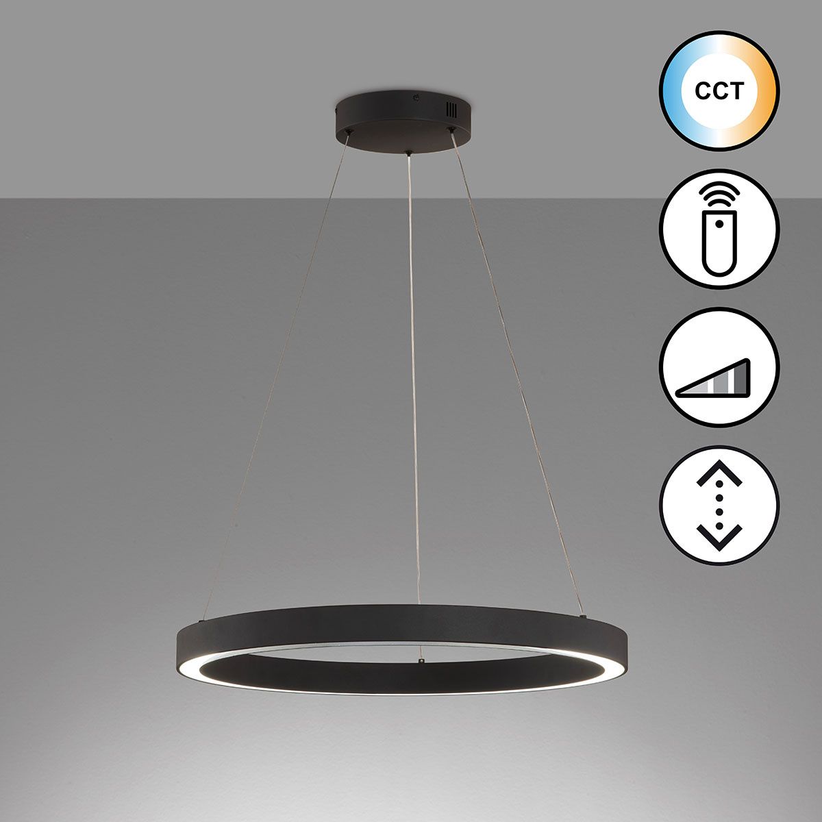 Lampadari & plafoniere: LED Pendelleuchte, Farbwechsler, 60 cm Ø – Nuovo (secondo la descrizione) da Kreuzlingen venduto da Smart-Light
