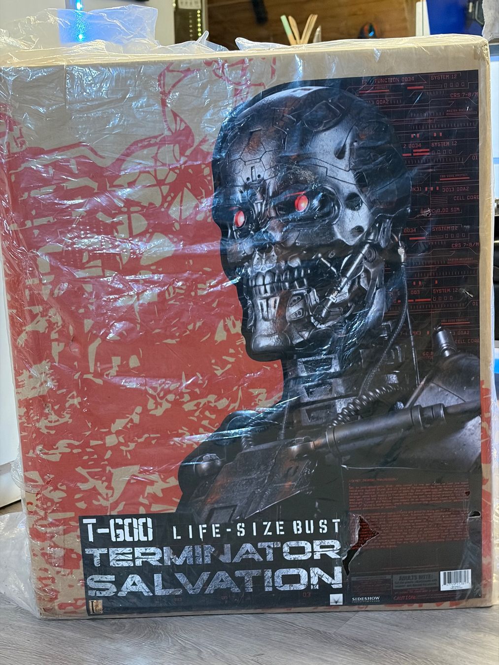 Sculture & Statue: T-600 Terminator Life-Size Bust, Limited – Usato da Chur venduto da irog2021 4