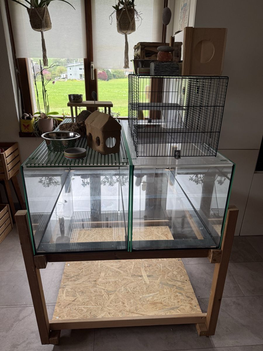 Terrario: Terrarium für Nager – Usato da Mollis venduto da bae_w87t 1