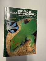 Der grosse Madagaskar-Taggecko