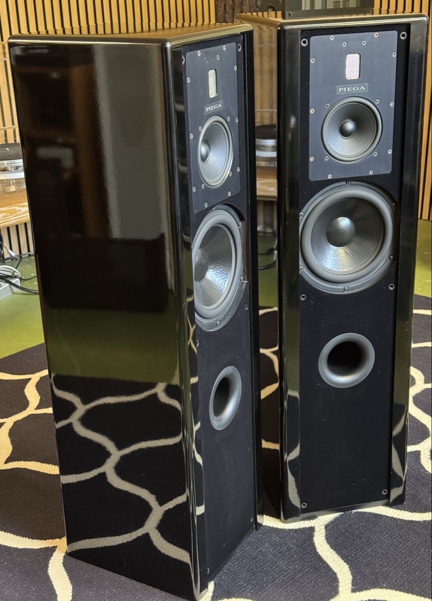 Piega Haut-parleurs: Piega LDR 8.2 – D'occasion à Ebertswil par audivero 3
