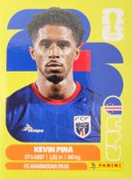 Panini FIFA World Cup CPV 10