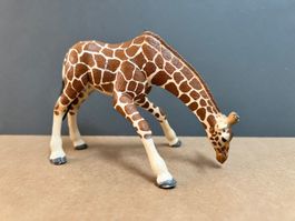 Schleich Giraffe Giraffenkuh, saufend