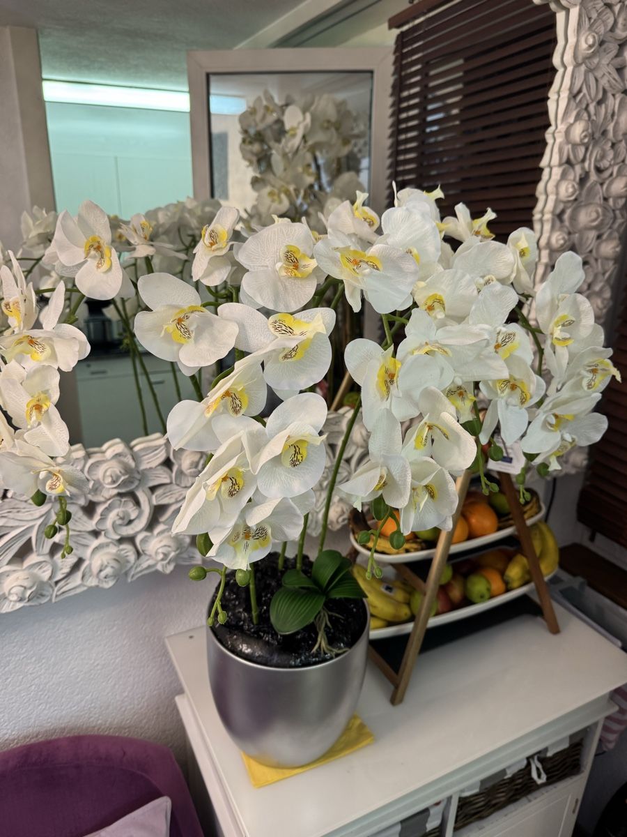 Alle Dekorationen: Künstliche Orchideen New – Neu (gemäss Beschreibung) aus Zürich von Privat4444 4